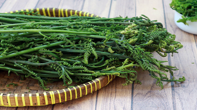 8 Manfaat Sayur Pakis untuk Kesehatan